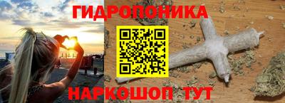 дмт Пушкино